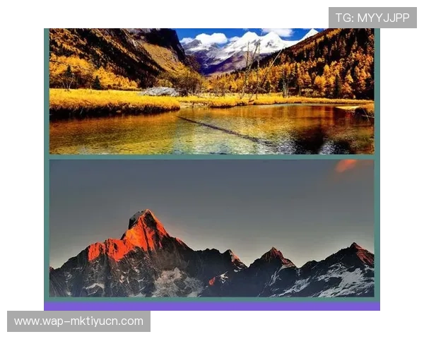 大发娱乐娱乐官网入口便捷登录方式,轻松进入丰富多彩的娱乐世界 大发娱乐娱乐官网入口便捷登录方式,轻松进入丰富多彩的娱乐世界