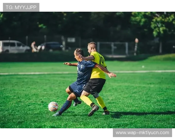 ld体育官方入口下载安装流程及使用技巧全方位指导 ld体育官方入口下载安装流程及使用技巧全方位指导