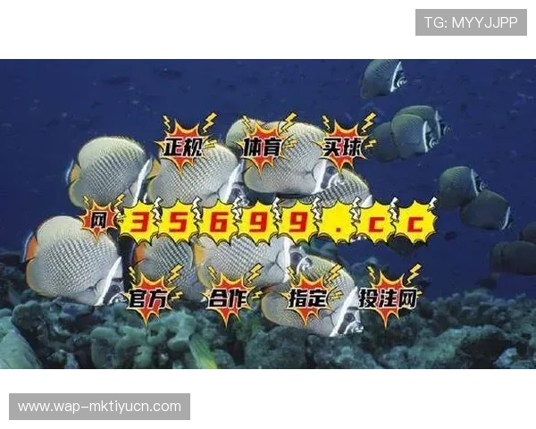 BG视讯网站最新优惠活动汇总，助你轻松享受高品质线上娱乐