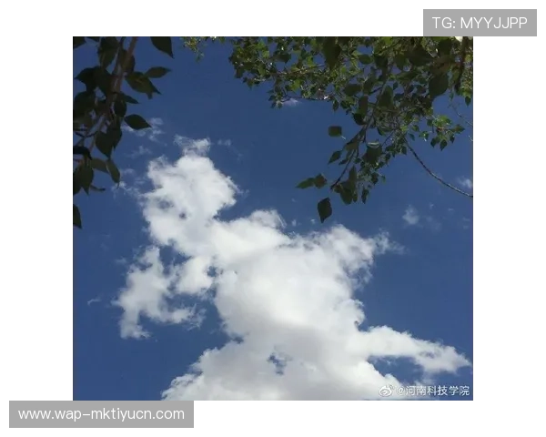 天空在线登录遇到问题怎么办?常见故障排查与解决方案全攻略 天空在线登录遇到问题怎么办?常见故障排查与解决方案全攻略